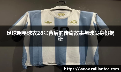 足球明星球衣28号背后的传奇故事与球员身份揭秘
